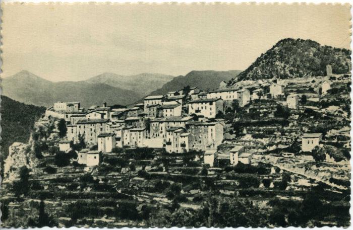 THIERY (A.-M.) - Vue générale