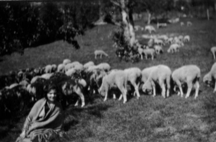 [Portrait d'une jeune femme avec un troupeau de moutons, Barels.]