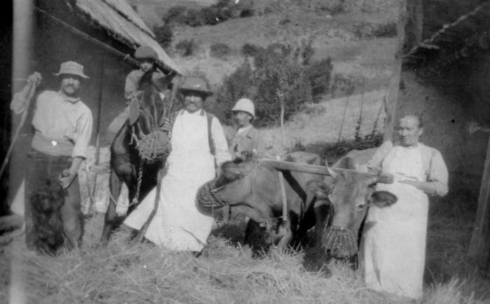 [Foulage, 1917, Hameau des Laves, Barels.]