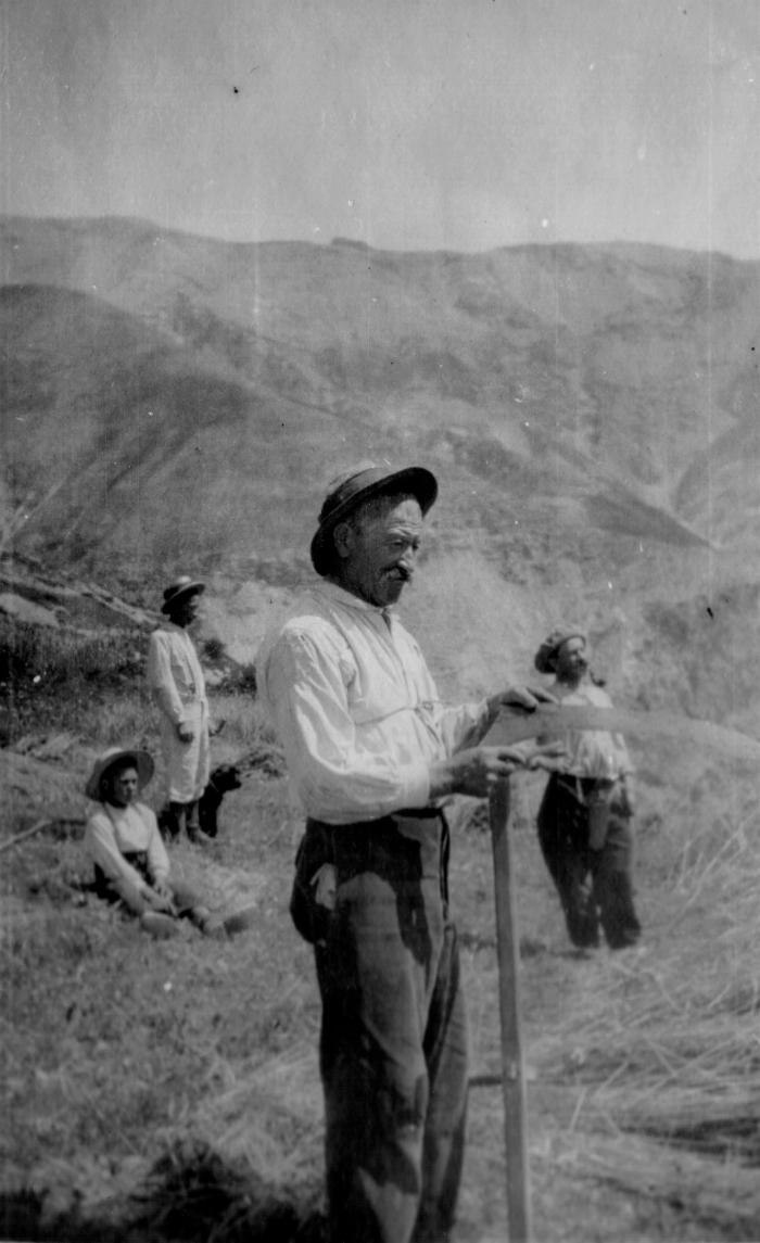 [Famille Lance faisant la moisson, 26 juillet 1917, hameau des Laves, Barels.]