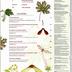 La Garance voyageuse : revue du monde végétal  - n°137  Mars 2022 - Tunisie - Arbre et bouddhisme - Arc-et-Senans - Erables - Pin cembro - Renouées invasives